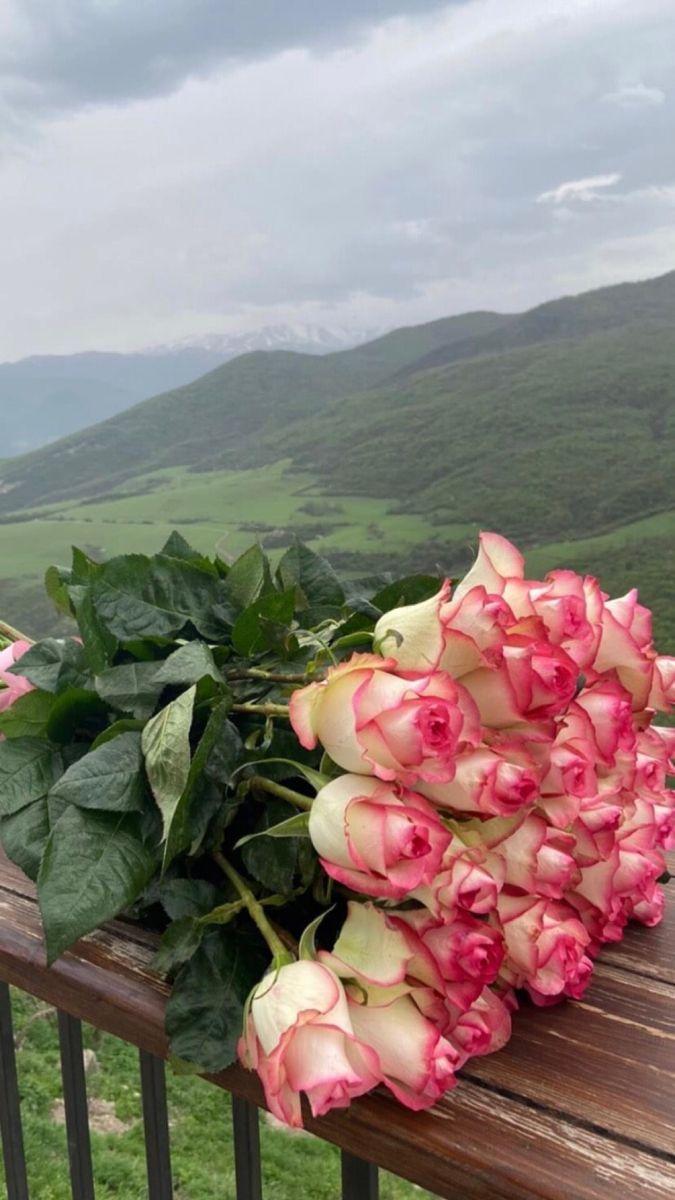 Secret Garden's Enchanted Blooms